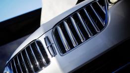 Lincoln MKX - grill