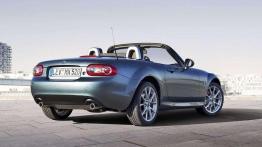 Przegląd promocji salonowych