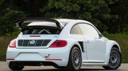 Volkswagen Beetle GRC - robak na sterydach