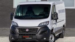 Rynek wtórny aut dostawczych w Polsce. Jakie samochody dominują i co się psuje w używanych dostawczakach?