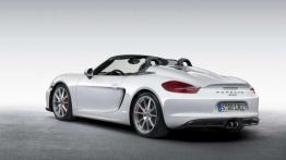Porsche Boxster Spyder - wicher we włosach