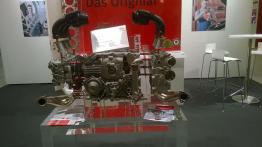 Show w nowych dekoracjach