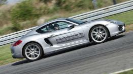 Porsche World Roadshow - czy można przedawkować Porsche?