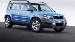 Skoda Yeti - widok z przodu