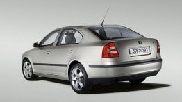 Skoda Octavia II - widok z tyłu