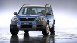Skoda Yeti - widok z przodu