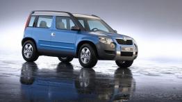 Skoda Yeti - widok z przodu