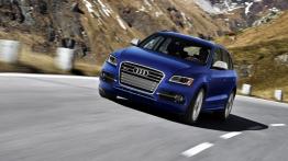 Audi SQ5 TFSI - widok z przodu