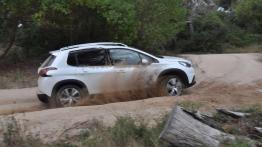 Peugeot 2008 – Drobne poprawki