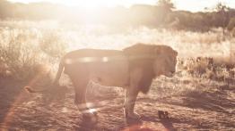 Toyota Hilux - przygoda w Namibii