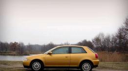 Audi A3 - w zasięgu ręki