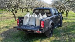 Kosztuje mniej niż wielu rywali. Ten pick-up 4x4 oferuje 900 kg ładowności