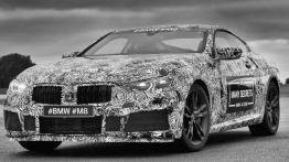 BMW M8 - pierwsze wieści