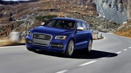 Audi SQ5 TFSI - widok z przodu