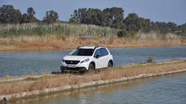 Peugeot 2008 – Drobne poprawki