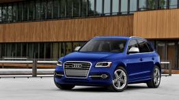 Audi SQ5 TFSI - widok z przodu