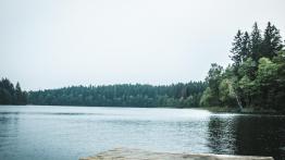 7 rzeczy, których dowiedzieliśmy się po pokonaniu 1525 km Golfem GTI