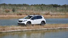 Peugeot 2008 – Drobne poprawki