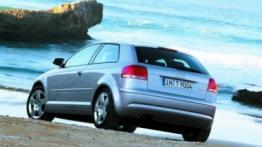 Audi A3 II - widok z tyłu