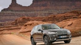 BMW X5 III (2014) xDrive50i - widok z przodu