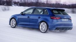 Audi RS3 Sportback w zimowej scenerii