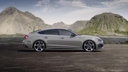 Audi odświeżyło całą rodzinę A-piątki