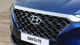 Nowy Hyundai Santa Fe w całej okazałości