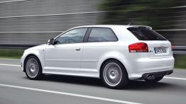 Audi S3 II - widok z tyłu
