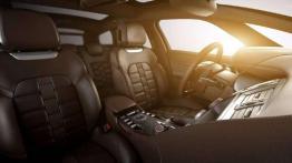 Citroen DS5 - Sztuka asertywności