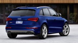 Audi SQ5 TFSI - widok z tyłu