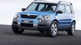 Skoda Yeti - widok z przodu