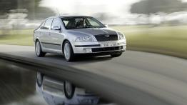 Skoda Octavia II - widok z przodu
