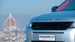 Range Rover Evoque Marangoni - grill