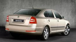 Skoda Octavia II - widok z tyłu