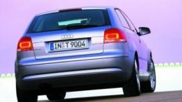 Audi A3 II - widok z tyłu