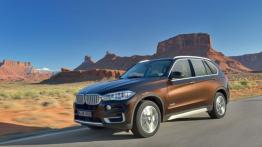 BMW X5 III (2014) xDrive50i - lewy bok