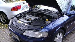 Opel Vectra B Sedan - galeria społeczności - maska otwarta