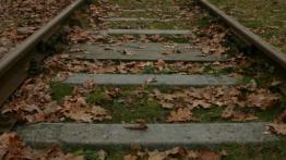 Fiat Linea  Sedan - galeria społeczności - lewy bok