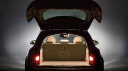 Opel Insignia Kombi - tył - bagażnik otwarty