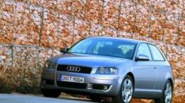 Audi A3 II - widok z przodu