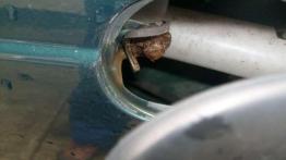 Opis techniczny Rover 400 II