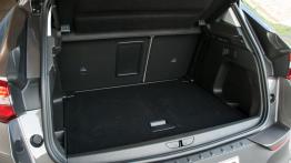 Opel Grandland X – trzeci „X” do kolekcji