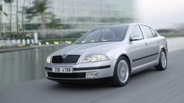 Skoda Octavia II - widok z przodu