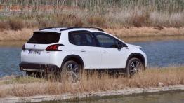 Peugeot 2008 – Drobne poprawki