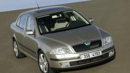 Skoda Octavia II - widok z przodu