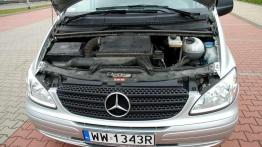 Uniwersalnie i wygodnie - Mercedes Vito Kombi