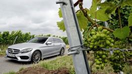 Mercedes klasy C 250 (2014) kombi - lewy bok