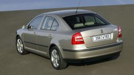 Skoda Octavia II - widok z tyłu