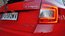 Skoda Octavia RS i 4x4 - więcej mocy, więcej trakcji