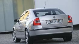Skoda Octavia II - widok z tyłu